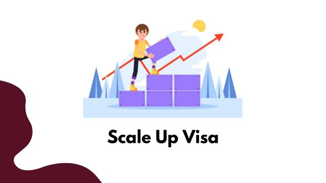 Scale-Up-Visa-1